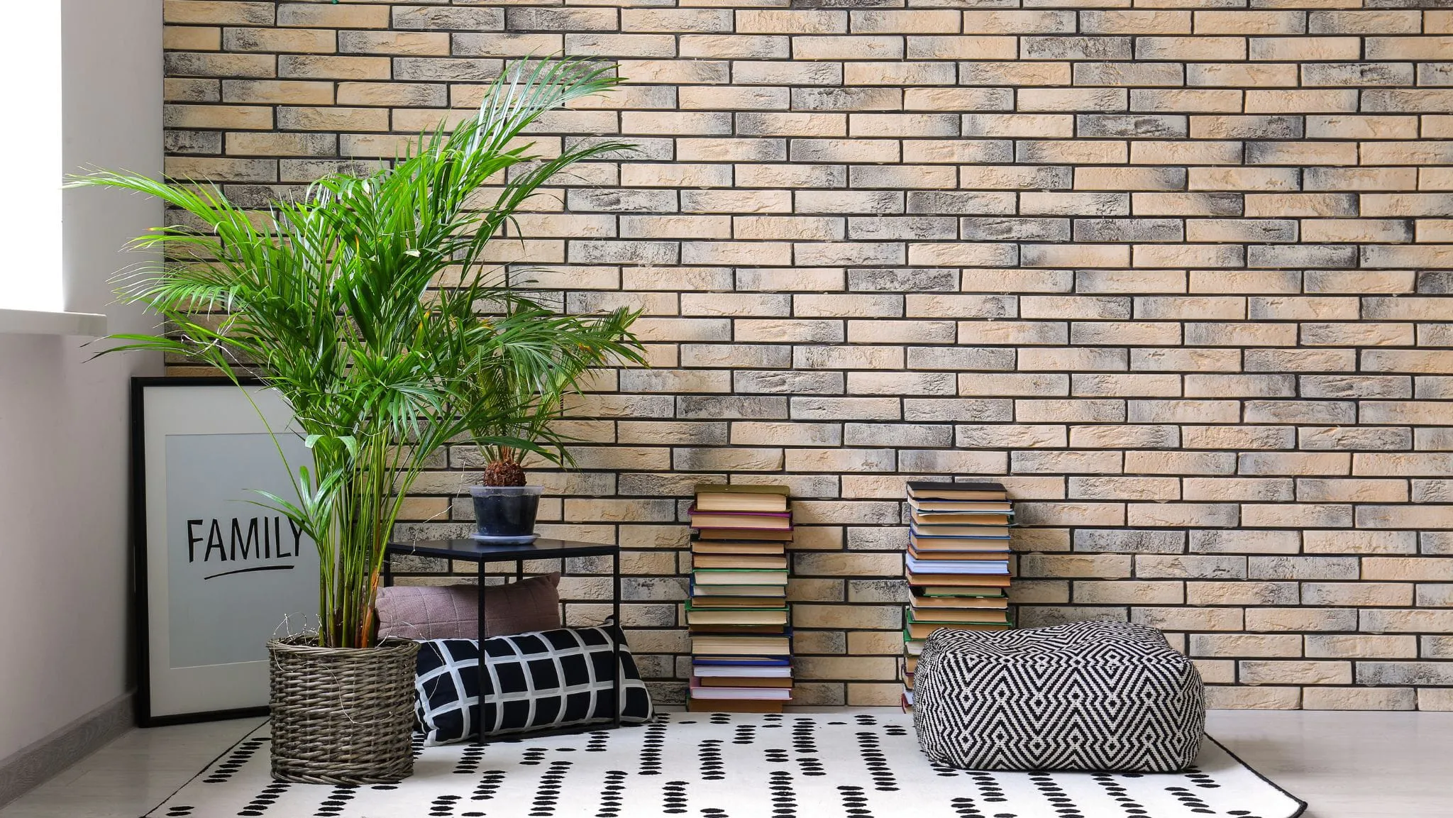 Dừa cảnh có nhiều ứng dụng trong đời sống
