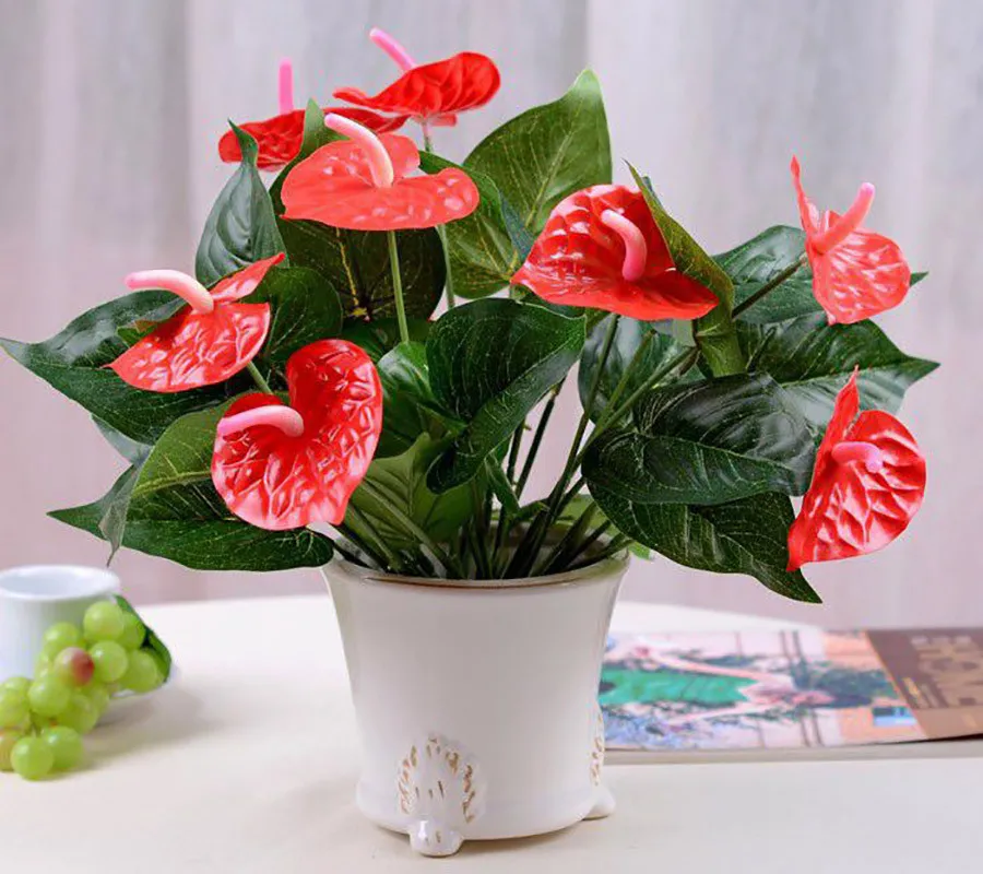 Cây hồng môn còn có nhiều tên gọi khác.