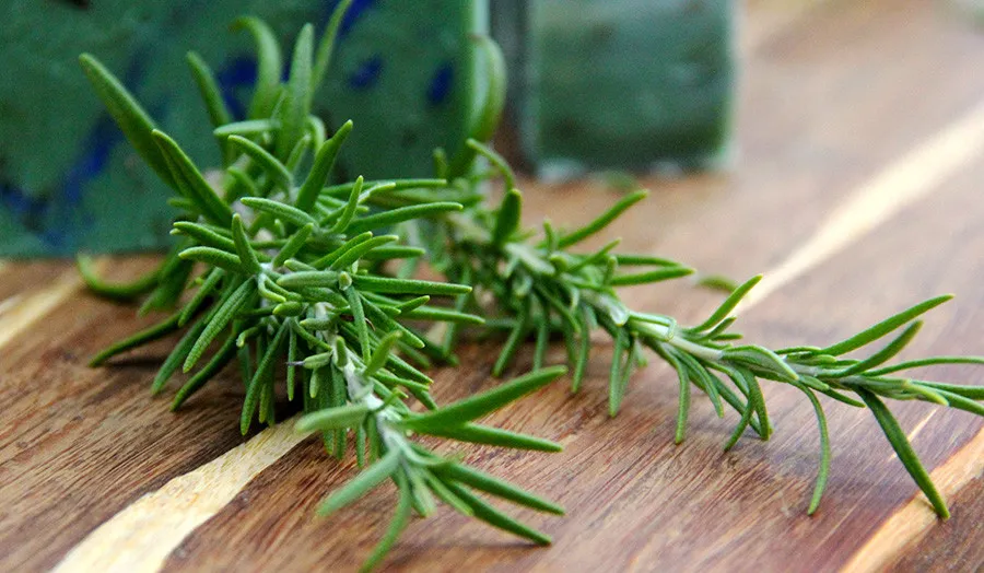 Cây hương thảo được tin là mang lại bình an và may mắn cho gia chủ