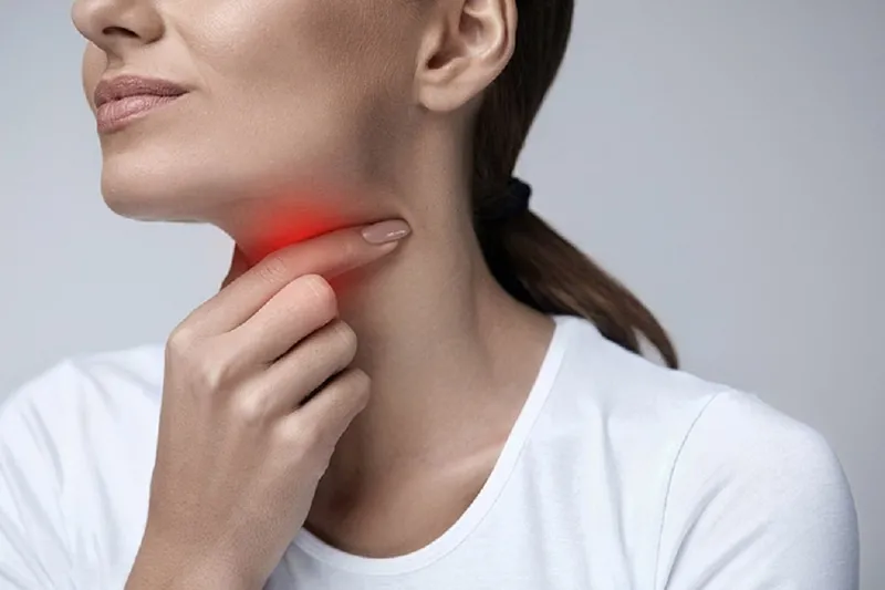 Lá cây thạch anh với bề mặt trơn nhẵn, chứa mủ trắng được dùng để kháng viêm và giảm đau họng
