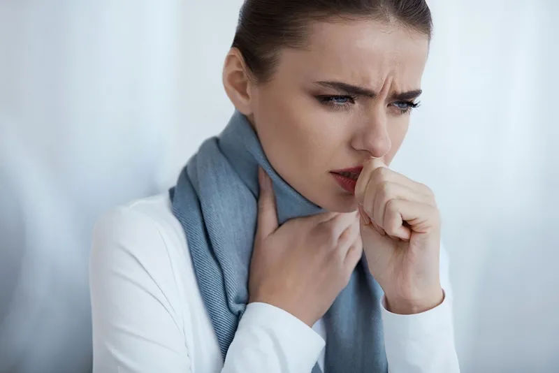 Dùng lá của cây xương sông có thể trị ho rất hiệu quả