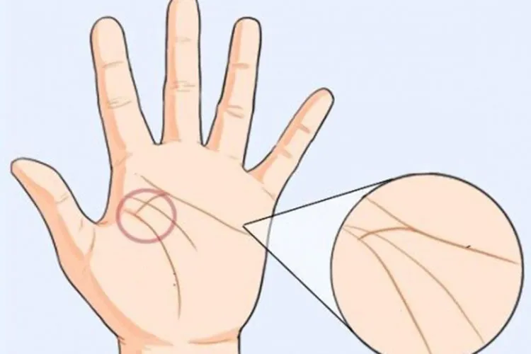 Đường tiền tài đậm và dài thường là dấu hiệu của hôn nhân hạnh phúc và sung túc