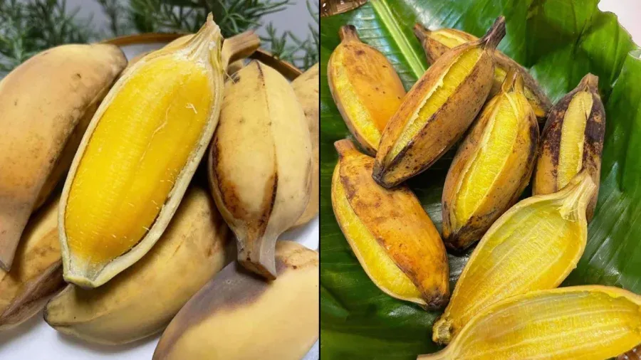Hướng dẫn cách hấp chuối sáp thơm ngon, dẻo bùi