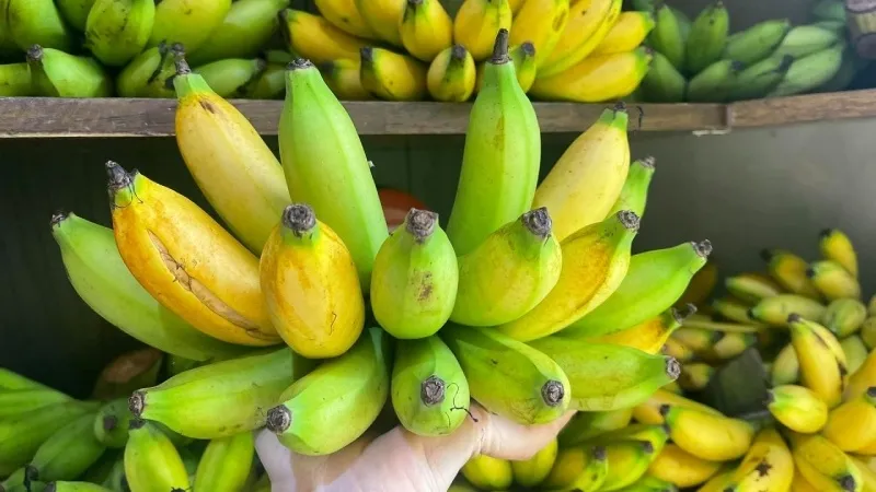Chuối cau được ưa chuộng rộng rãi tại Việt Nam
