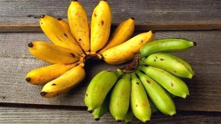 Một quả chuối cau nhỏ xinh chứa bao nhiêu calo?