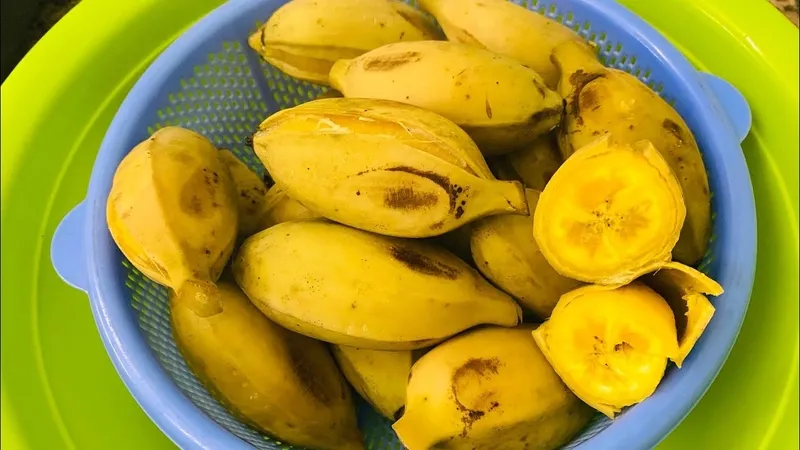 Giải đáp chuối sáp luộc bao nhiêu calo