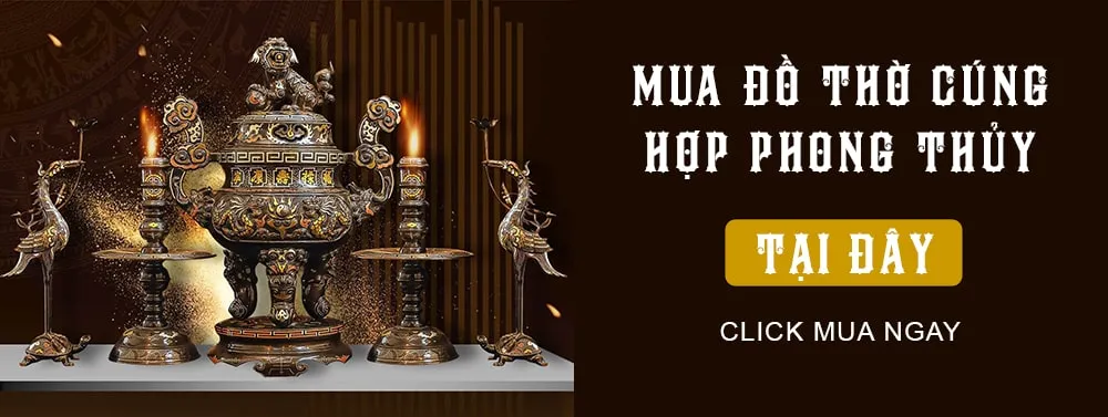 Cây Cỏ Đồng Tiền nhìn rất giống cây Rau Má quen thuộc