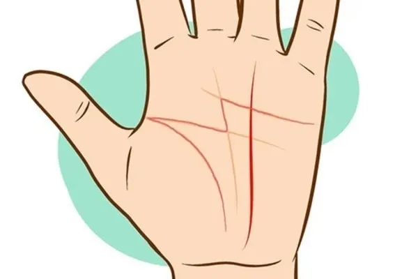 Đường Định Mệnh là đường thẳng chạy dọc từ phần cổ tay lên phần trên lòng bàn tay