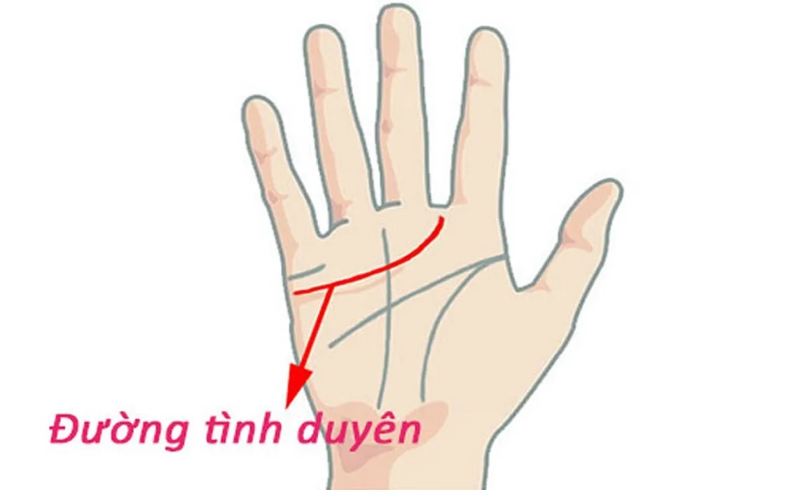Đường Tâm Đạo chính là đường tình duyên, thể hiện các mối quan hệ tình cảm của bạn