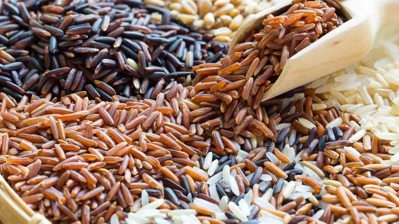Gạo lứt đỏ khi nấu lên có độ dẻo nhất định