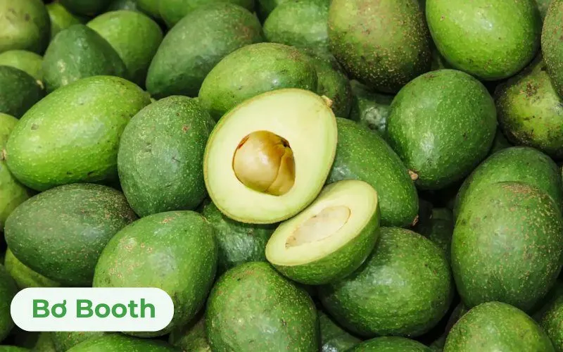 Bơ Booth có mức giá trung bình nên được nhiều khách hàng lựa chọn