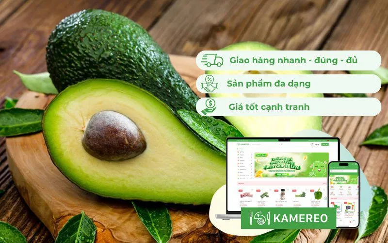 Kamereo là địa chỉ cung cấp quả bơ với giá sỉ chất lượng, uy tín