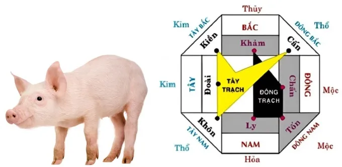 Gia chủ sinh năm 2007 nên chọn hướng xây nhà phù hợp để mọi việc được hanh thông