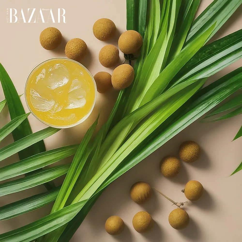 Cây lá dứa tươi xanh và các món ăn chế biến từ lá dứa