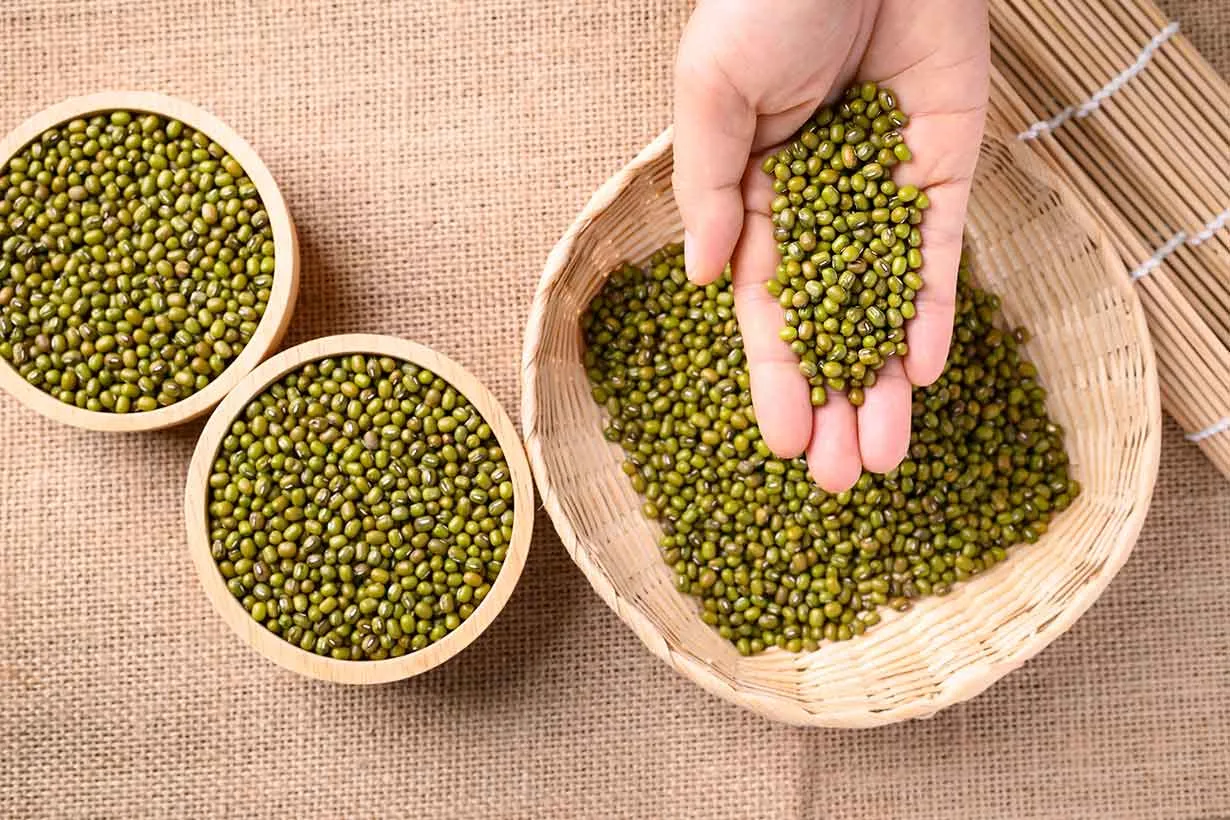 Đĩa đậu xanh nấu chín, tượng trưng cho những tác động của đậu xanh