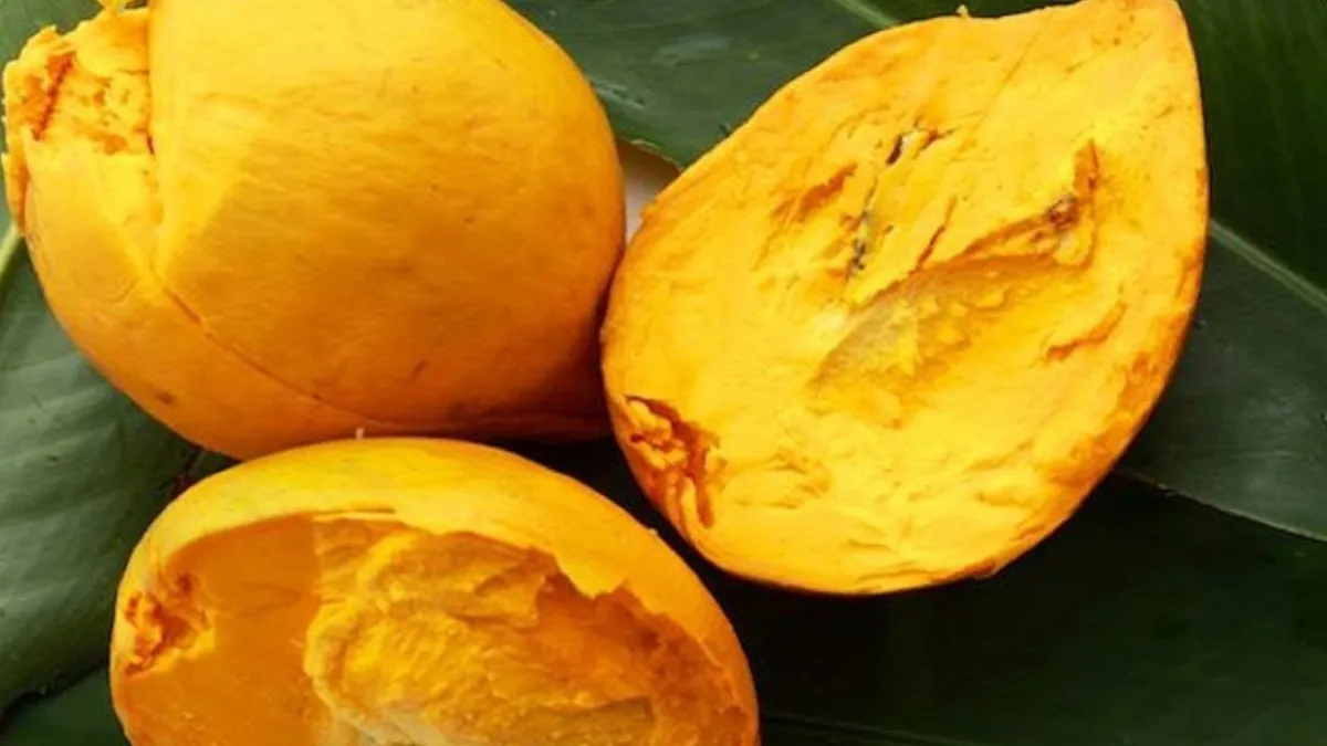 Một quả lê ki ma chín đã gọt vỏ và cắt lát trên đĩa