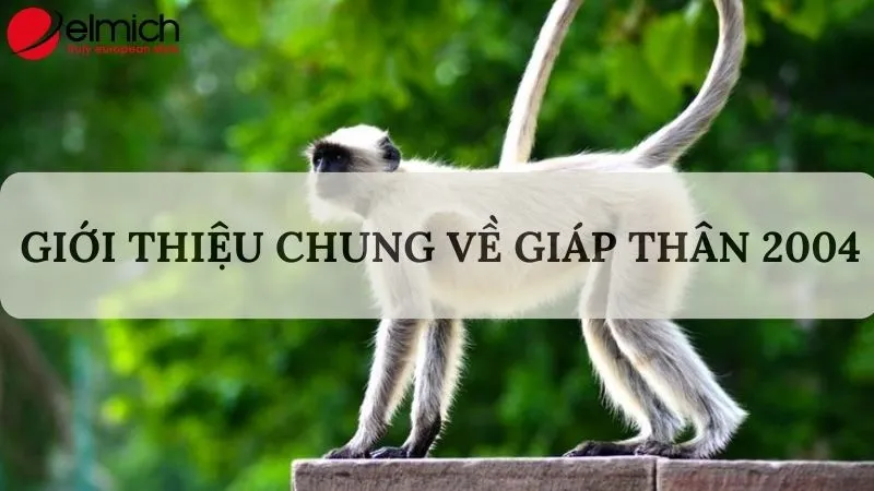 Hình ảnh người tuổi Giáp Thân 2004 với vẻ ngoài thông minh và điềm tĩnh