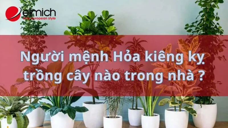 HÃ¬nh 13: Gia chá»§ má»‡nh Há»a cáº¥m ká»µ trá»“ng nhá»¯ng loáº¡i cÃ¢y nÃ o