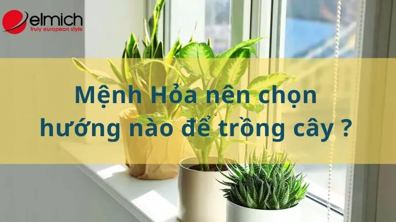 HÃ¬nh 14: HÆ°á»›ng tá»‘t nháº¥t Ä‘á»ƒ ngÆ°á»i má»‡nh Há»a trá»“ng cÃ¢y