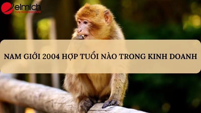 Hình ảnh hai người đang bàn bạc kinh doanh, thể hiện sự hợp tác ăn ý