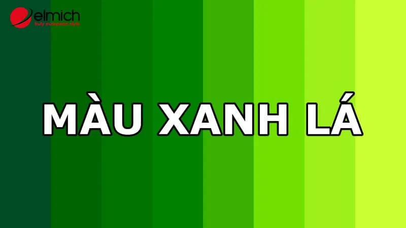 Mệnh Thổ nên tránh sử dụng màu xanh lá cây để không bị suy yếu