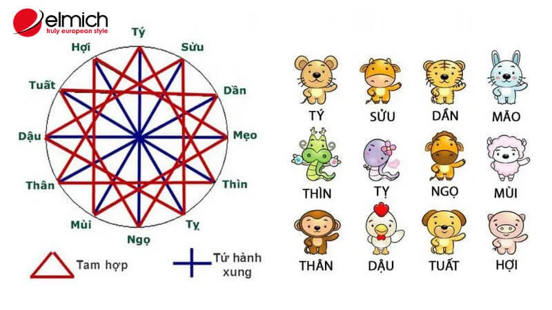Hiểu rõ về tam hợp và tứ hành xung trong phong thủy