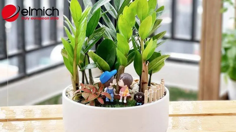 HÃ¬nh 9: CÃ¢y Kim Tiá»n há»£p phong thá»§y vá»›i ngÆ°á»i má»‡nh Há»a