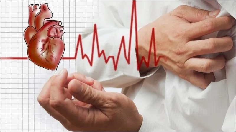 Hoàng Kỳ giúp cải thiện chức năng tim cho những người bị suy tim