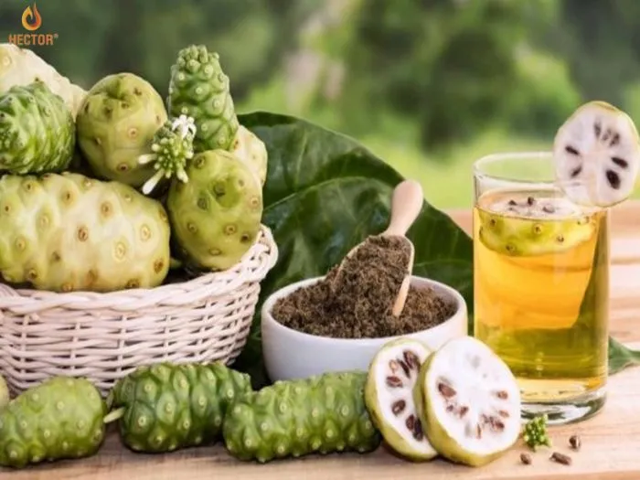Hướng dẫn cách làm nước ép trái nhàu tại nhà