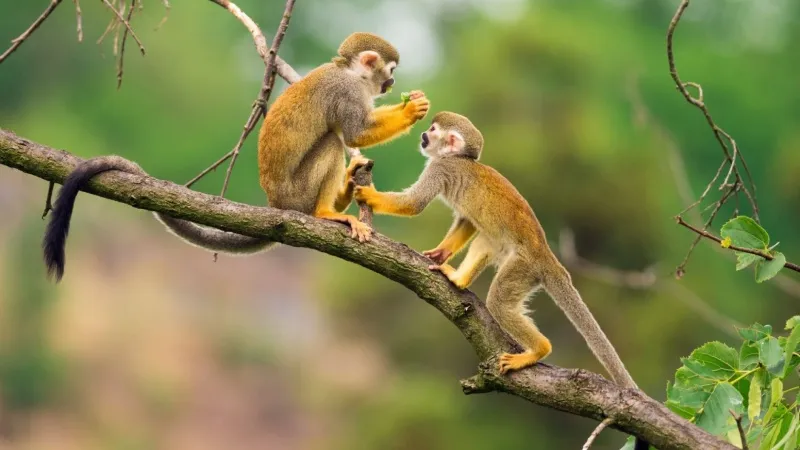 Cặp đôi đang hạnh phúc nắm tay nhau, biểu thị cho tình duyên và các mối quan hệ hòa hợp
