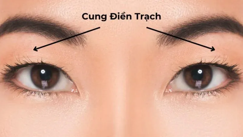 Cung Điền Trạch là gì?