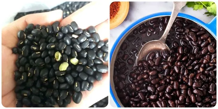 Hạt đậu đen căng bóng, sạch sẽ, tượng trưng cho thực phẩm dinh dưỡng