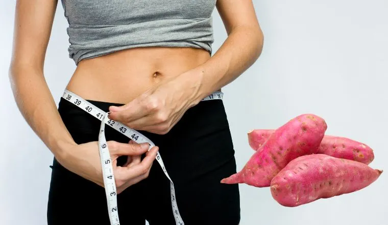 Ăn khoai lang tím giúp kiểm soát cân nặng hiệu quả
