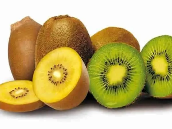 Kiwi vàng và xanh tươi ngon