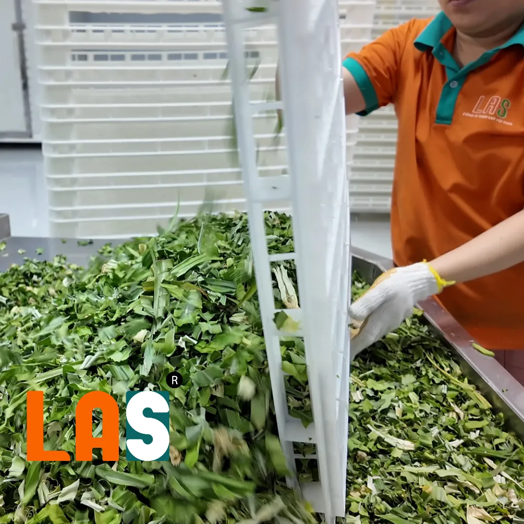 Lá dứa sau khi sấy khô giữ nguyên màu sắc