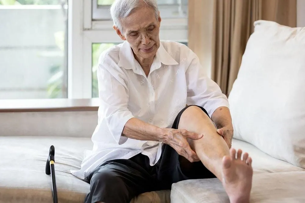 Cây phòng phong có thể trị đau nhức xương khớp hiệu quả