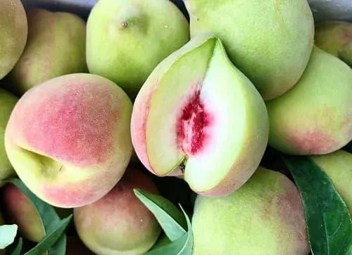 Một đĩa đào tươi ngon đã được rửa sạch, sẵn sàng thưởng thức