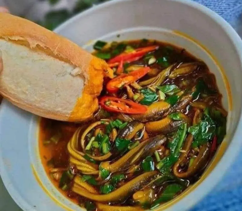 Kết hợp lươn với nghệ giúp món ăn dinh dưỡng hơn