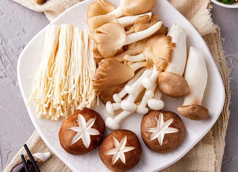 Lưu ý chọn những loại nấm quen thuộc để tránh ăn phải nấm độc