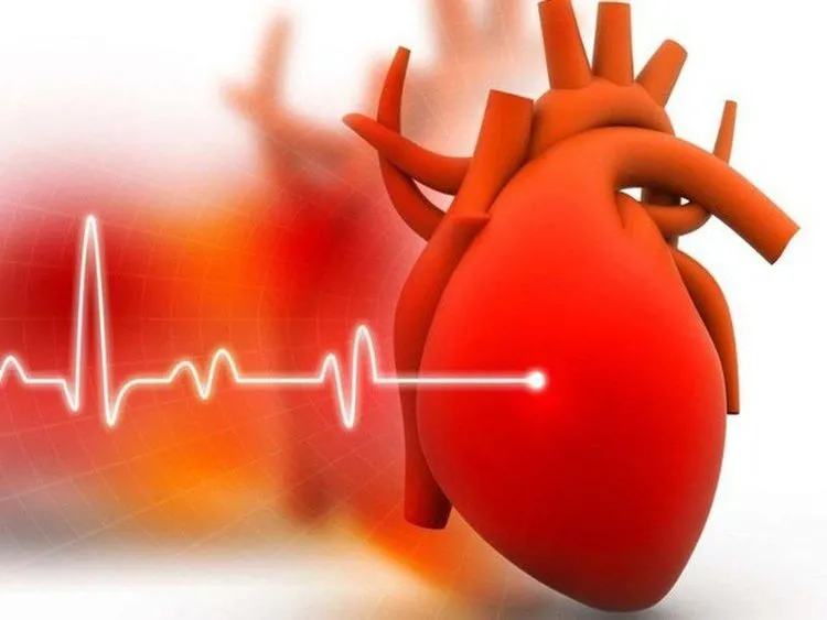 Cá là thực phẩm ít calo, rất giàu protein và chất béo có lợi cho tim
