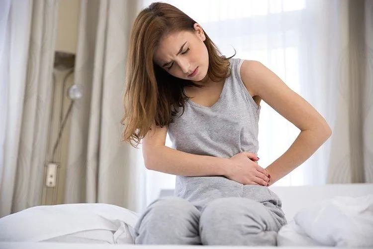 Chữa táo bón, tiêu chảy là công dụng của cây yên bạch