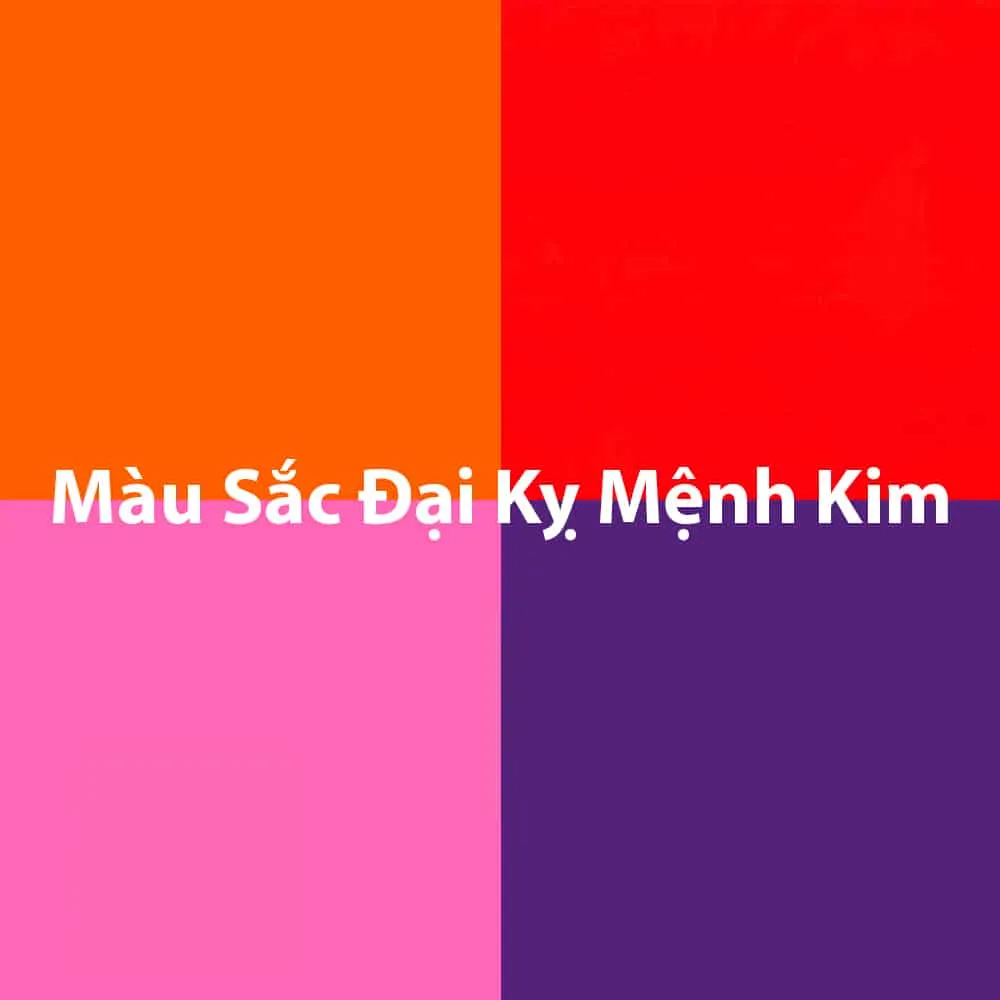 Một không gian tối màu, có thể mang cảm giác u ám và không phù hợp với người mệnh Kim cần tránh màu tối thuộc hành Hỏa