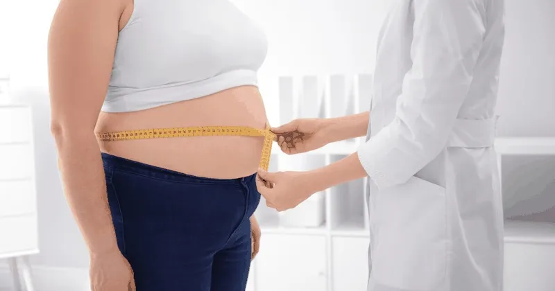 Uống nhiều Bò Húc có thể dẫn tới béo phì