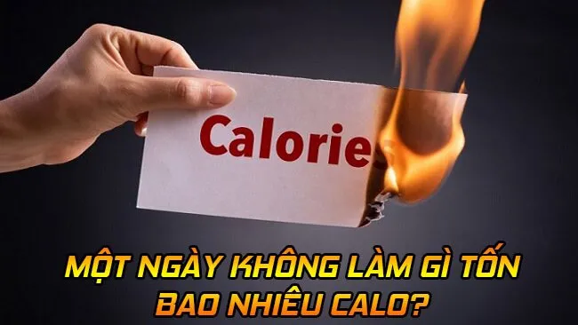 Người phụ nữ đang nghỉ ngơi, minh họa cho việc cơ thể vẫn đốt calo ngay cả khi không làm gì