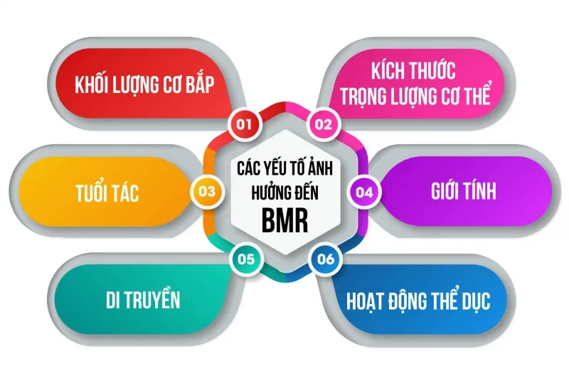 Các yếu tố như tuổi tác, giới tính và trọng lượng cơ thể ảnh hưởng đến lượng calo đốt cháy