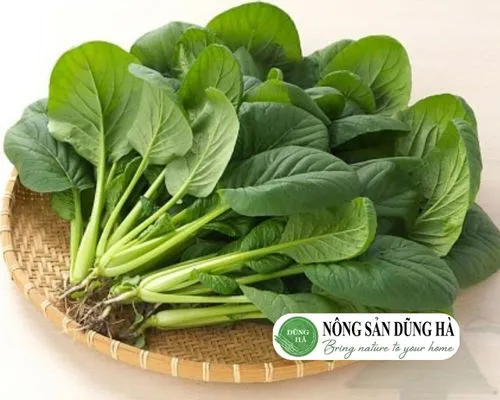 Mướp hương kỵ cải bó xôi
