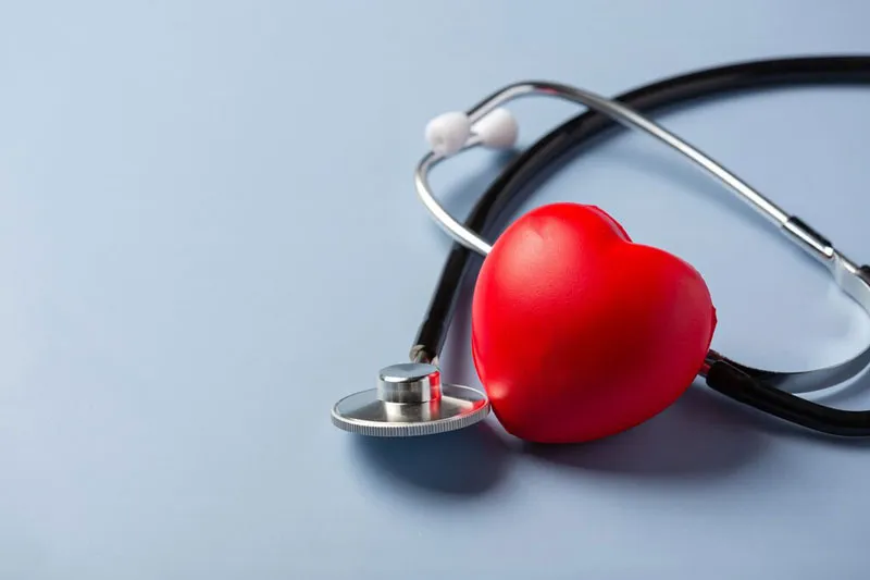 Bổ sung yến mạch vào bữa ăn hàng ngày giúp bạn phòng ngừa hiệu quả các bệnh lý về tim mạch