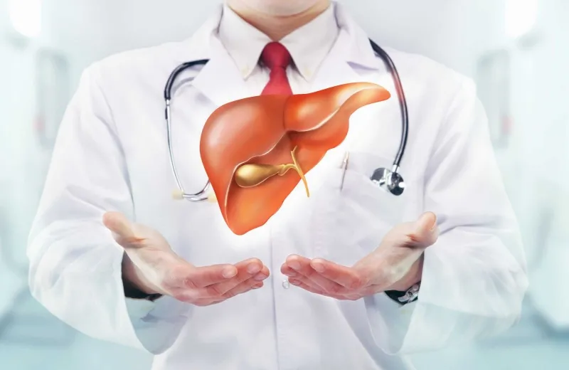 Tránh ăn bơ quá nhiều gây tổn thương gan