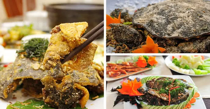 Thịt ba ba sau khi chế biến, sẵn sàng cho món ăn bổ dưỡng