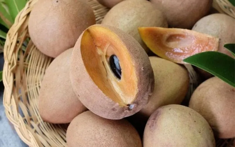 Sapoche là loại quả có tính mát, giúp giải khát và nhuận tràng hiệu quả